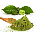 Chlorogenic Acid